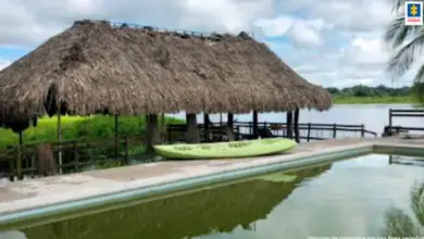 Photo of Bienes de las AUC en Montería fueron entregados al Fondo de Reparación para Víctimas