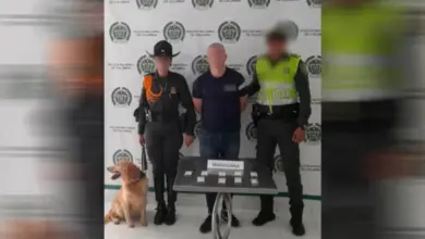 Photo of Canina de la Policía lo descubrió con droga en el Aeropuerto Los Garzones