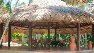 Photo of Entregan fincas de ‘Macaco’, ‘Clan Castaño’ en Córdoba para reparar víctimas