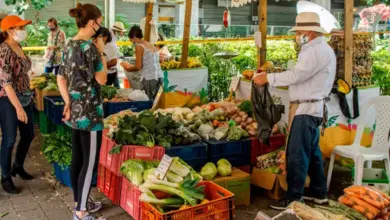 Photo of Mercado del Sur: consulte acá los precios al mayor y detal en verduras y frutas