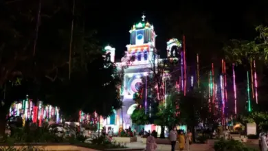 Photo of Iluminación de la Catedral de Montería entra en mantenimiento