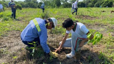 Photo of Mil árboles sembró Afinia en Lorica