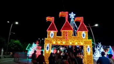 Photo of “Alegre Navidad”, Elec iluminó a Montería