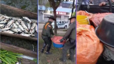 Photo of Vendedores de pescado denuncian abuso de la policía al decomisar el producto