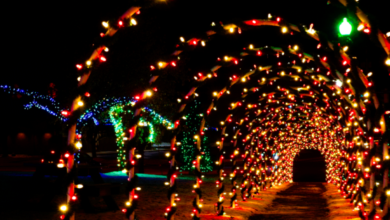 Photo of Este sábado abren las puertas del Coliseo Miguel Villamil para disfrutar de la Villa Navideña