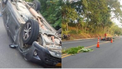 Photo of Aparatoso accidente: atropelló una vaca y se volcó en la vía
