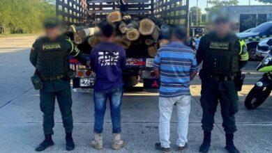 Photo of Autoridades incautaron madera ilegal y capturaron a dos personas