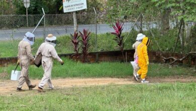 Photo of CVS lidera monitoreo técnico para esclarecer mortandad de abejas en Apromiel