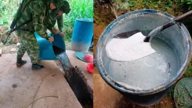Photo of Destruyen laboratorios de coca del ELN y ‘Clan del Golfo’