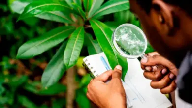 Photo of MinCiencias abre convocatoria para proyectos de investigación en ciencias básicas