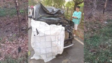 Photo of Vaca causó grave accidente de tránsito en vía San Bernardo del Viento