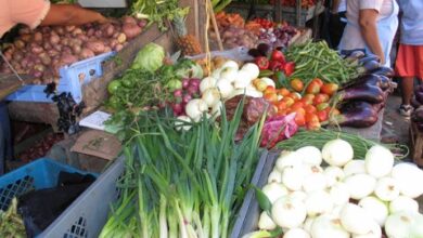Photo of Así está el precio de las verduras y frutas en el Mercado del Sur en Montería