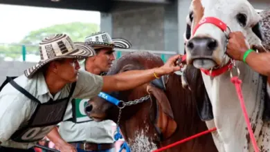 Photo of Coliseo Miguel Villamil Muñoz está listo para Expoterneros 2024