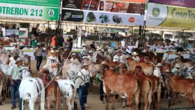 Photo of Estas son las razas que llegarán a Expoterneros Montería 2024