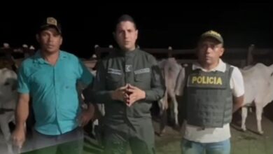 Photo of Autoridades recuperaron ganado hurtado en Sahagún