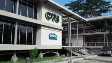 Photo of Tras muertes masivas de abejas, CVS pide al ICA control en ventas de agroquímicos