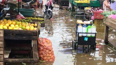 Photo of Comerciantes del Mercado del Sur en Montería claman por soluciones ante el deterioro de instalaciones