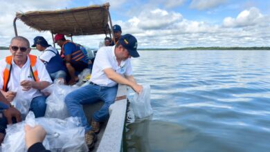 Photo of CVS lideró jornada de impacto en la Ciénaga de Betancí y se sembraron 100,000 alevinos