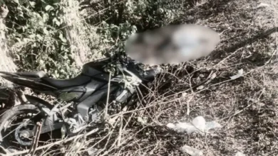 Photo of Joven perdió la vida tras impactar contra un árbol