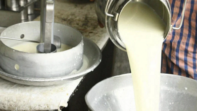 Photo of Crisis lechera en Córdoba y Sucre