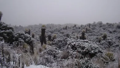 Photo of Murió joven de 25 años en el parque Nacional Los Nevados