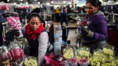 Photo of Consumidores en EE. UU. pagan hasta 600 dólares por arreglos florales colombianos