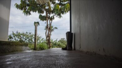 Photo of Denuncian la existencia de un plan para asesinar excombatientes