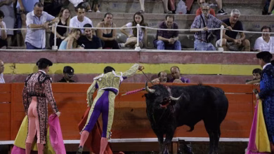 Photo of Corte constitucional prohíbe corridas de toro, corralejas, coleo y peleas de gallos en Colombia