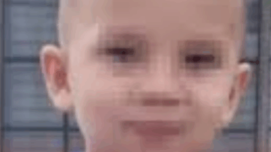 Photo of Tragedia en EE. UU.: niño colombiano muere atropellado en Long Beach