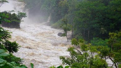 Photo of Cinco personas mueren arrastradas por creciente súbita en Santander