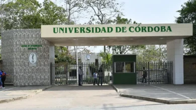 Photo of Cobertura universitaria de Córdoba alcanza el 27,3 % pero aún está lejos del promedio nacional