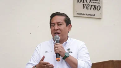 Photo of Procuraduría investiga al gobernador de Boyacá por presunta participación en política
