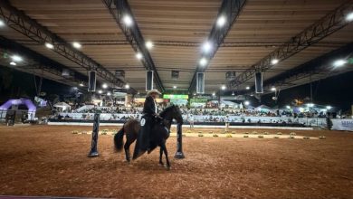 Photo of Menor de 16 años muere tras riña durante la Feria Ganadera