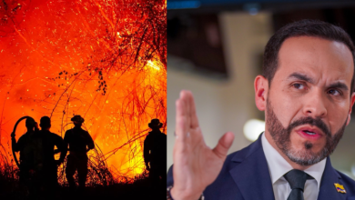 Photo of Colombia busca apoyo internacional para combatir incendios forestales en Tolima