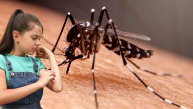 Photo of Montería reporta 885 casos de dengue y registra una reducción del 80 % frente al año anterior