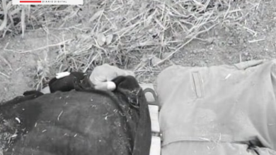 Photo of Hallan un cuerpo a un costado de la vía hacia Moñitos