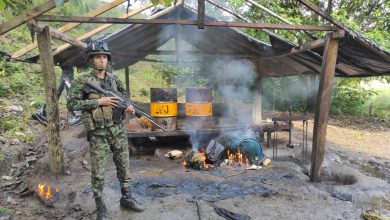 Photo of Ejército golpea al Clan del Golfo con la destrucción de dos laboratorios para procesar coca en Córdoba