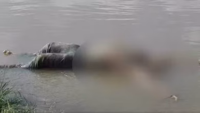 Photo of Hallan cuerpo sin vida en aguas del río Sinú, en Playa Brígida