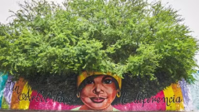 Photo of Cereté convierte sus espacios públicos en una galería de arte a cielo abierto